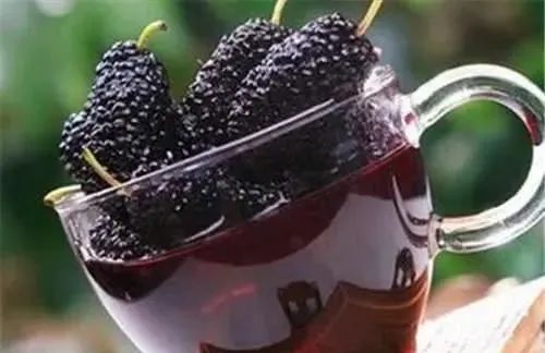 桑葚泡酒的方法_泡酒桑葚方法視頻_泡酒桑葚方法竅門