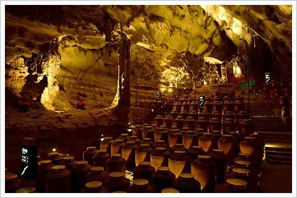 收藏價值酒有哪些品牌_什么酒有收藏價值_收藏價值酒