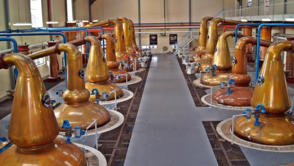 配酒配方_配制酒是什么酒_配制酒配方