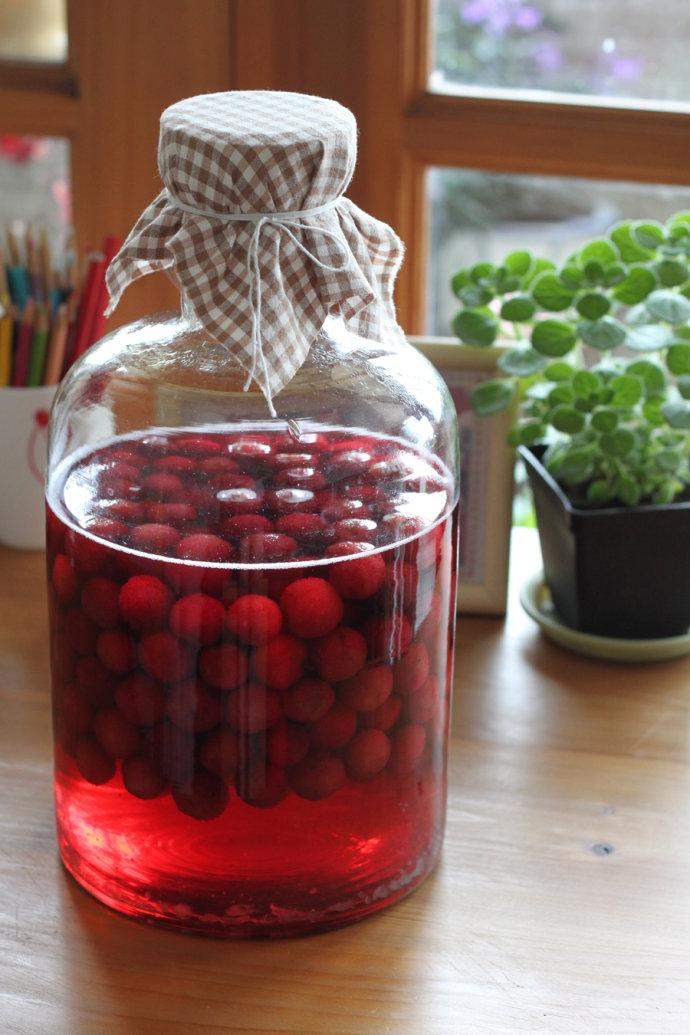 果酒制作自釀方法視頻_果酒的制作方法 自釀_果酒制作自釀方法有哪些