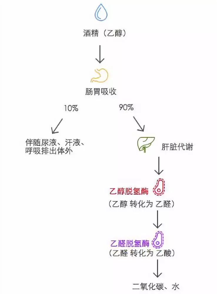 釀糧食酒用什么酒曲好_糧食酒怎么釀_釀糧食酒長毛怎么辦