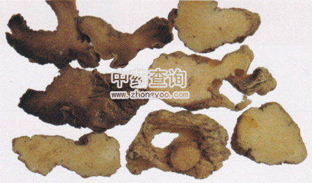 酒黃精的功效_酒黃精的功效_酒黃精的功效