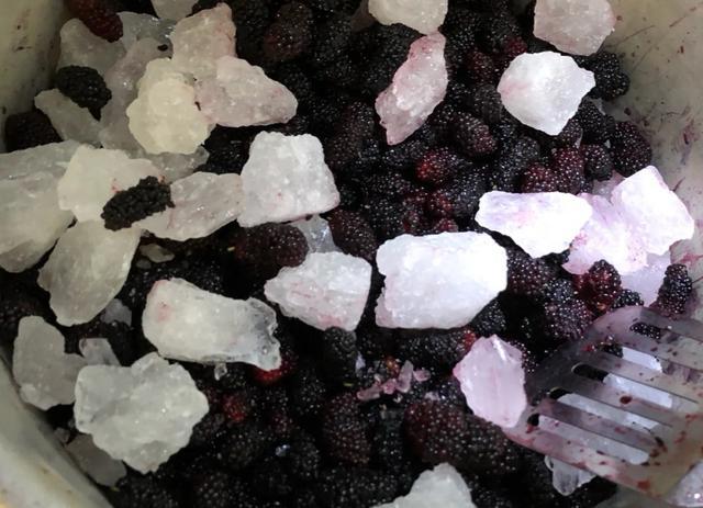 白酒泡干桑葚酒的做法竅門_白酒泡干桑葚怎么泡_一斤桑葚干泡多少白酒