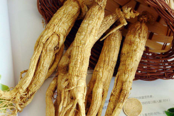 人參泡酒正確方法60度酒_人參泡酒正確方法_人參泡酒正確方法和用量是多少