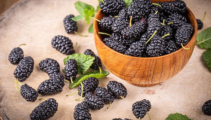 桑葚酒的藥用_桑葚酒的藥用價值_桑葚酒的作用與功效