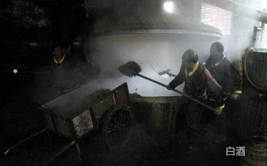 苦蕎酒營養價值_功效苦蕎作用酒有哪些_苦蕎酒的功效與作用