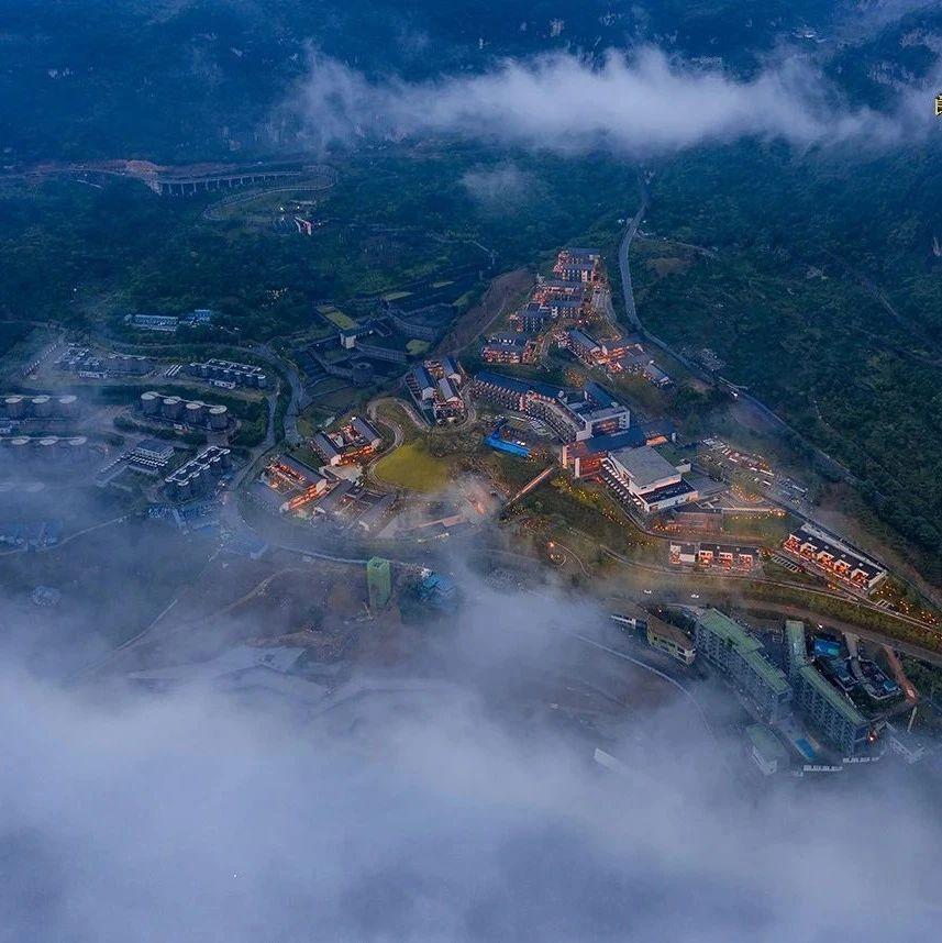 葡萄著名酒品牌世界排名榜_葡萄著名酒品牌世界排名第幾_世界十大著名葡萄酒品牌