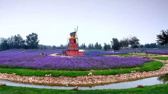 石家莊酒（河北十大名酒最新排行榜出爐！你知道哪款酒登頂了嗎？）