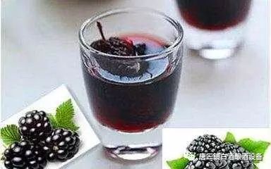 桑葚酒有什么功效_功效桑葚酒有哪些_功效桑葚酒有哪些品牌