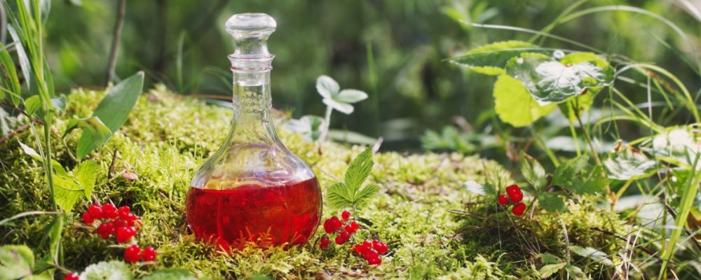 白花蛇泡酒喝的功效